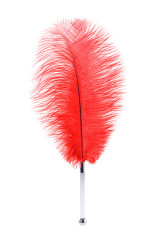 Нежное страусиное перо-щекоталка TOYFA Theatre